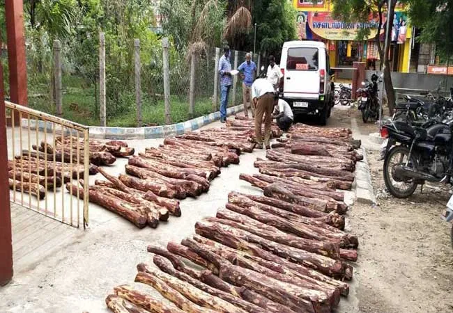 ANDHRA PRADESH  Cemmarakkattaikal SEIZURE IN VELLORE VALAJA TOLL POLICE